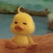 ぽんの画像