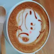 きょんの画像