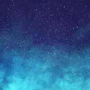 セタの画像