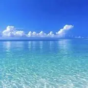 COVE