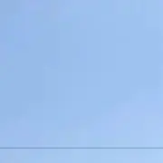 たま