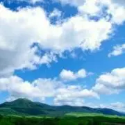 TKの画像