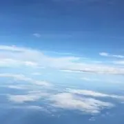 daisの画像