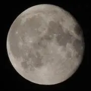 yasuの画像