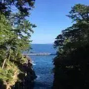 しんこの画像