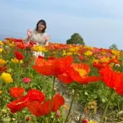 みぃひぃの画像