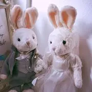 ☆ringo☆の画像