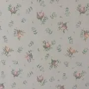 えりの画像
