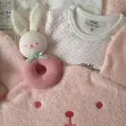 nnk_c0017の画像