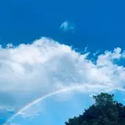 ニコ　即日発送⭐︎の画像