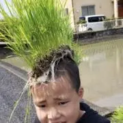 与作は木を切るの画像