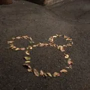 hiちゃん※24時間以内に配送の画像