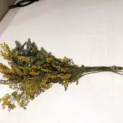 まるこの画像