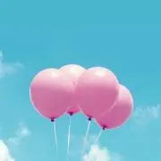Y-Sの画像