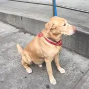 Yuki＊