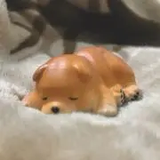 Wiiの画像