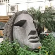 H.Mの画像