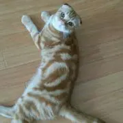 りえんヌ