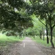 Ayaの画像
