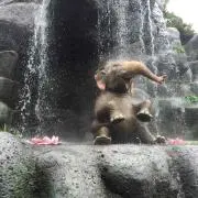 Hinmi 《購入前コメント下さい❗️》の画像