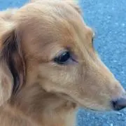 ジュンの画像