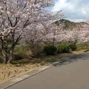 桜【休業中】
