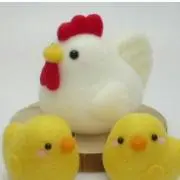 こっこの画像