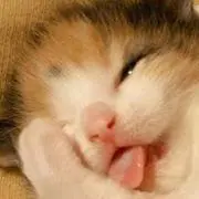 ハニハニ♪