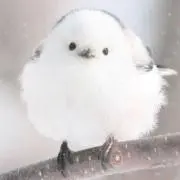 ぱん
