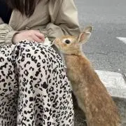 MOKAの画像