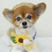ゆうママ　(プロフ必須)の画像