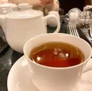 ごまふあざらしの画像