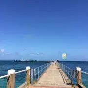 goroの画像