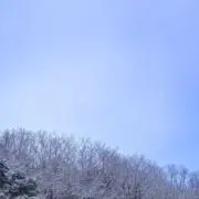 名無しの画像