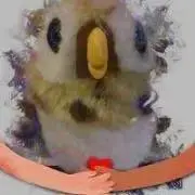 ようちゃんの画像