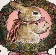 ころんの画像