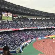 きょんの画像