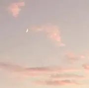 ぽての画像