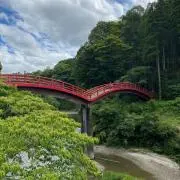 Y プロフィール必読の画像