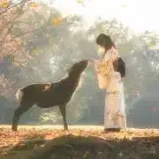 もののけ姫⭐︎の画像