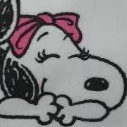 あんずの画像