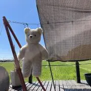 KoGaの画像