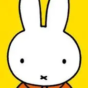 ミッフィー子の画像