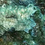 ごんの画像