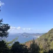 ぷーの画像