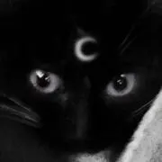 モモの画像