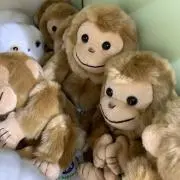 ai☺︎の画像