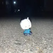 さくらちきんの画像