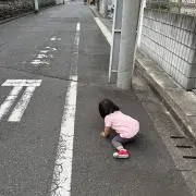 ちそちの画像