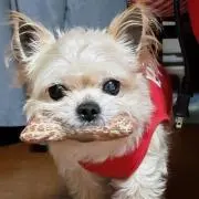 かっくん